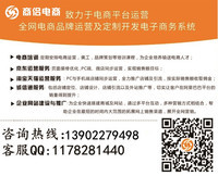 公司简介 专业的电子商务运营管理服务